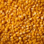 corn8